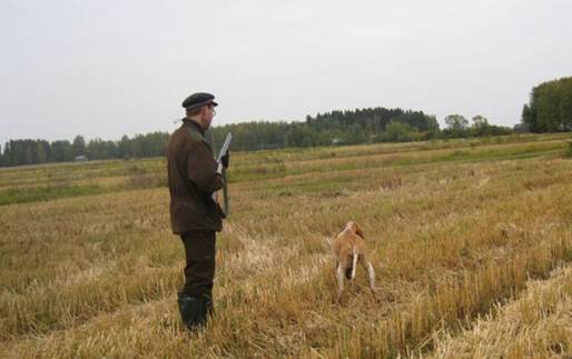 Kuvaus: Kuvaus: IMG_0552