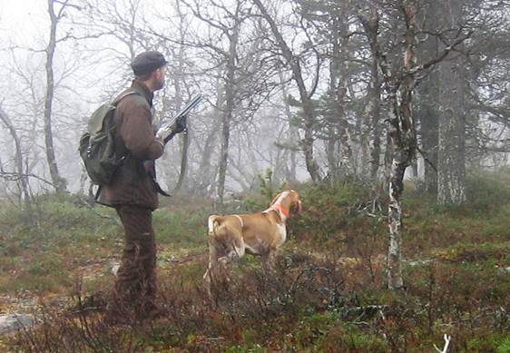 Kuvaus: Kuvaus: IMG_3002